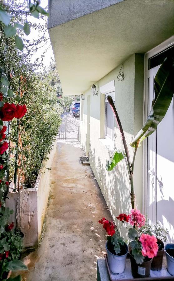 Apartments Siesta Tivat Dış mekan fotoğraf